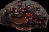 Black Forest Cookie