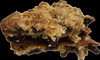 Oatmeal Raisin Cookie